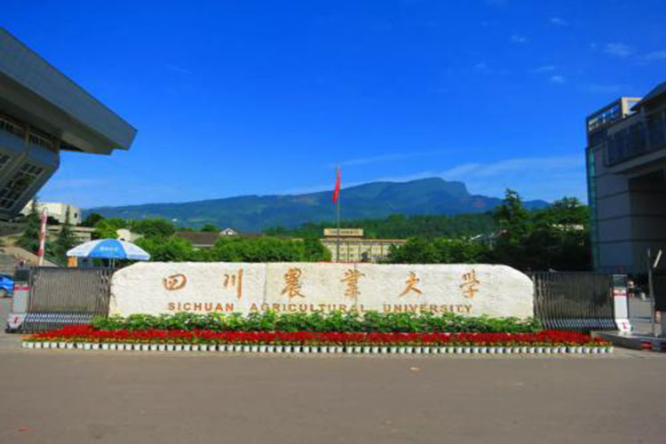 四川農(nóng)業(yè)大學(xué)?？茖W(xué)歷怎么升本科比較好