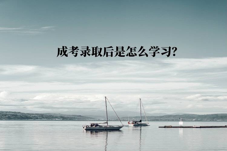 成考錄取后是怎么學(xué)習(xí)？