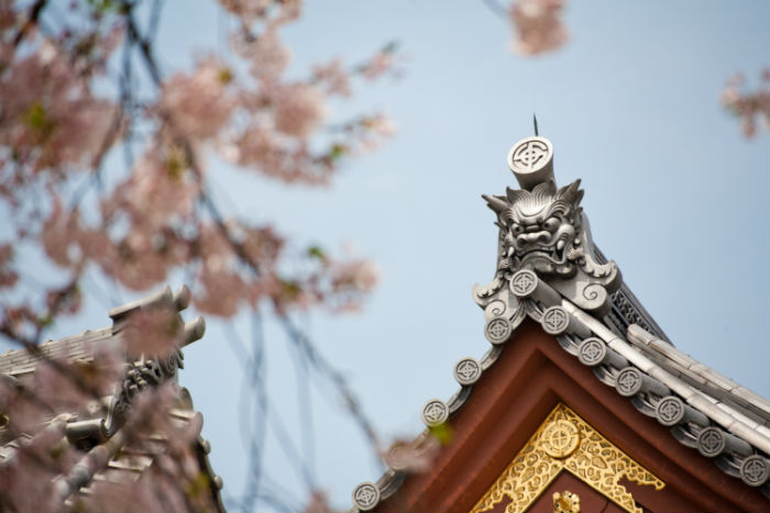 平頂山提升學(xué)歷方式哪種好？學(xué)歷提升招生學(xué)校有多少？