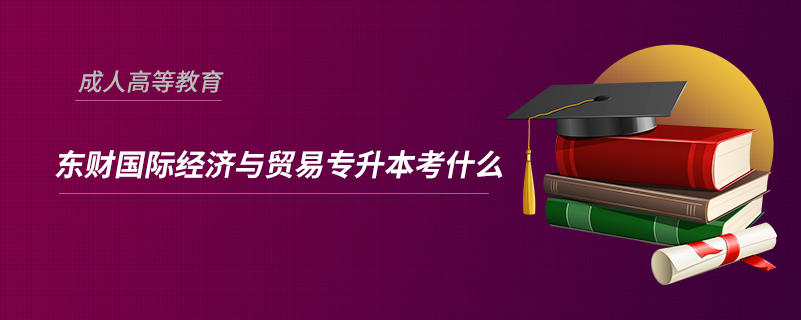 東財國際經濟與貿易專升本考什么