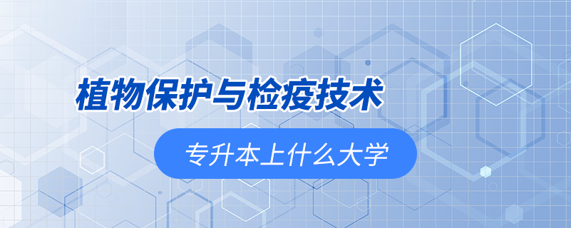 植物保護與檢疫技術(shù)專升本能上什么大學