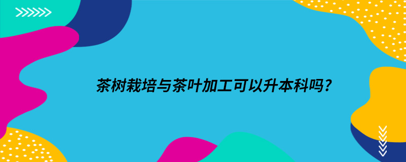 茶樹(shù)栽培與茶葉加工可以升本科嗎?