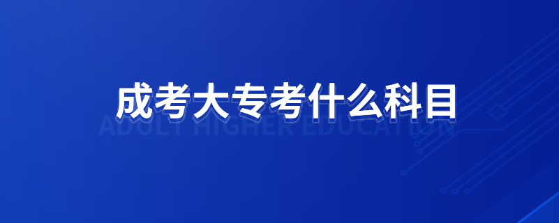成考大?？际裁纯颇? /></p><p style=