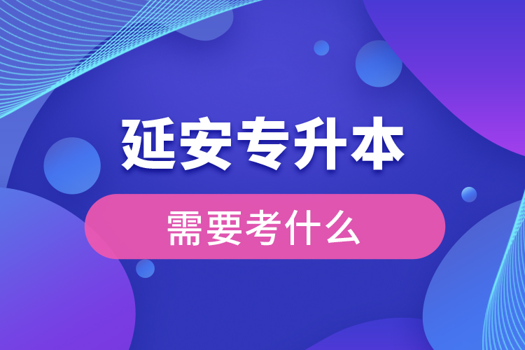 延安專升本需要考什么？