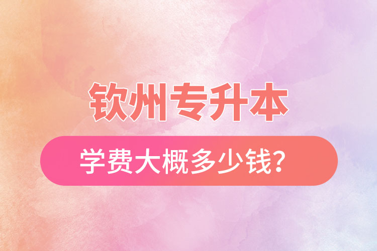欽州專升本學費大概多少錢？