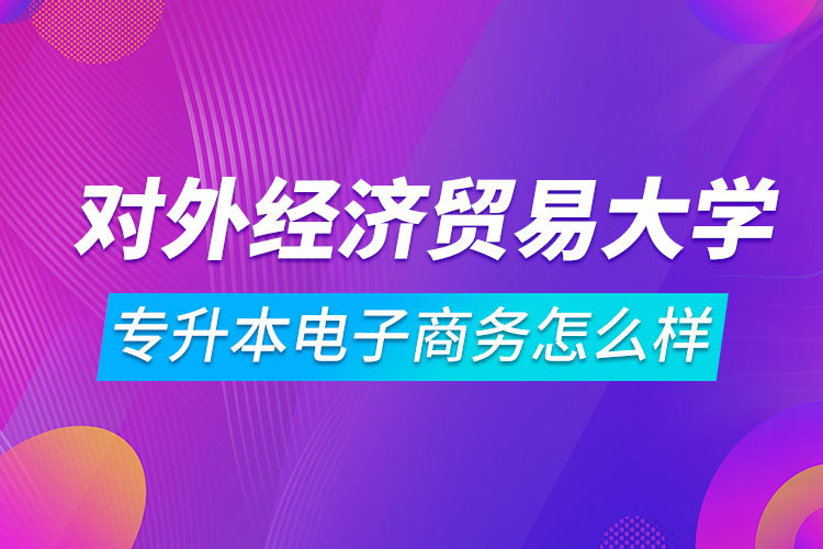 對外經(jīng)濟貿(mào)易大學專升本電子商務怎么樣