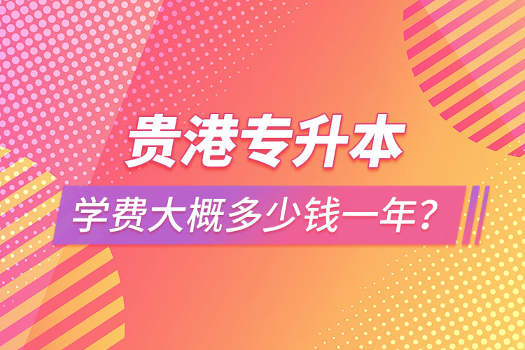 貴港專升本學(xué)費大概多少錢一年？