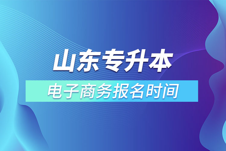 山東專(zhuān)升本電子商務(wù)