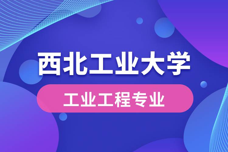 西北工業(yè)大學(xué)工業(yè)工程專業(yè)怎么樣？