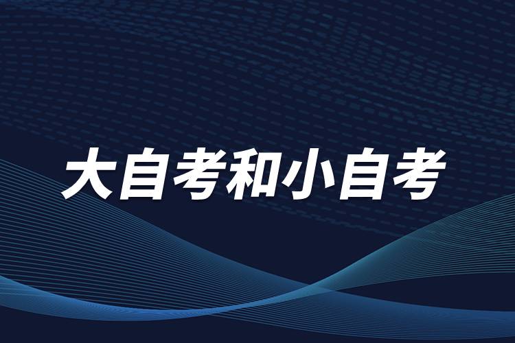 大自考和小自考是什么意思？有什么區(qū)別？