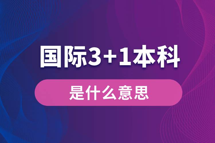 國(guó)際3+1本科是什么意思