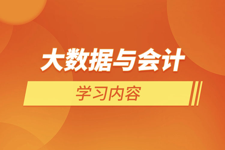 大數(shù)據(jù)與會計學習內(nèi)容