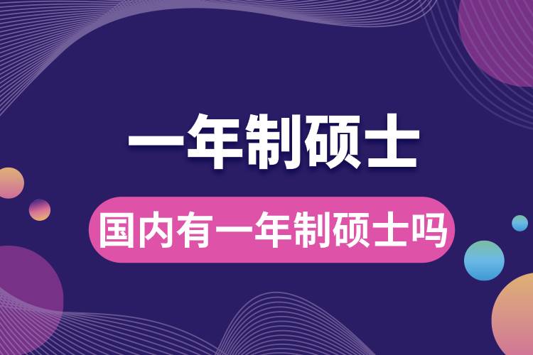 國內有一年制碩士嗎.jpg