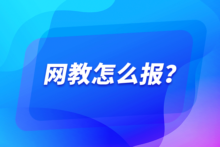 網(wǎng)教怎么報(bào)？