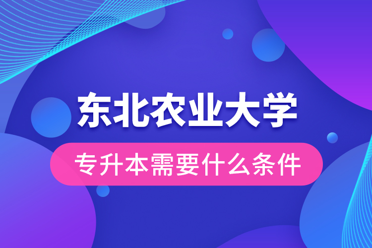東北農(nóng)業(yè)大學專升本需要什么條件？