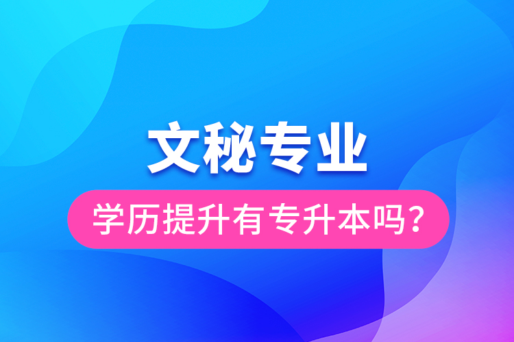 文秘專業(yè)學(xué)歷提升有專升本嗎？