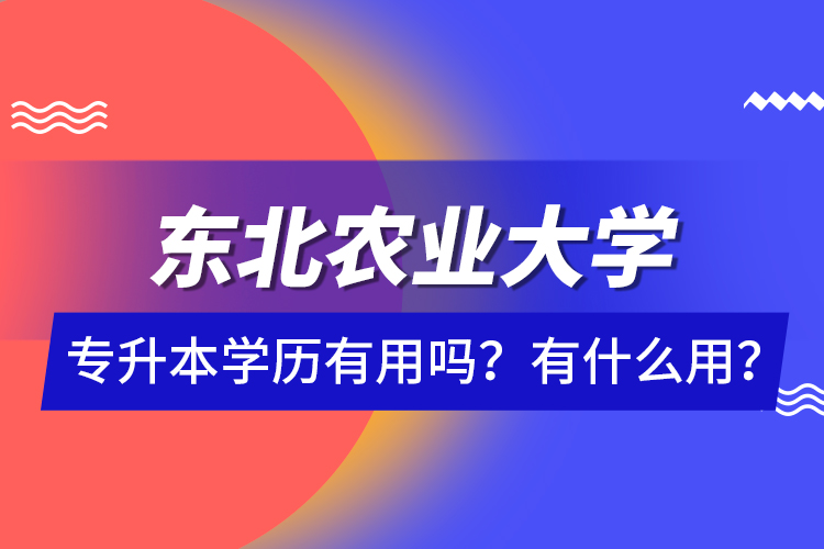 東北農(nóng)業(yè)大學(xué)專升本學(xué)歷有用嗎？有什么用？
