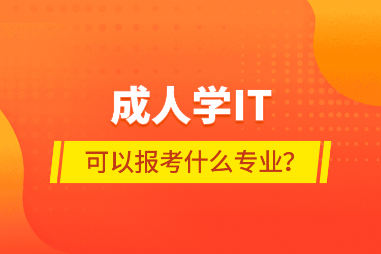 成人學(xué)IT可以報(bào)考什么專(zhuān)業(yè)？