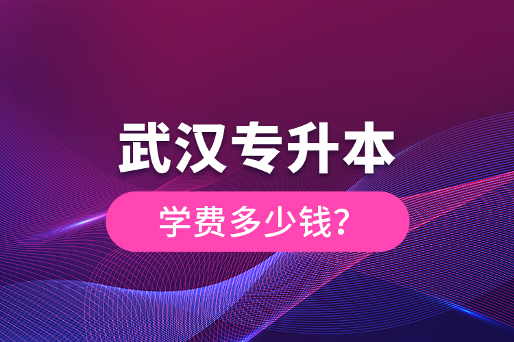 武漢專升本學費多少錢？