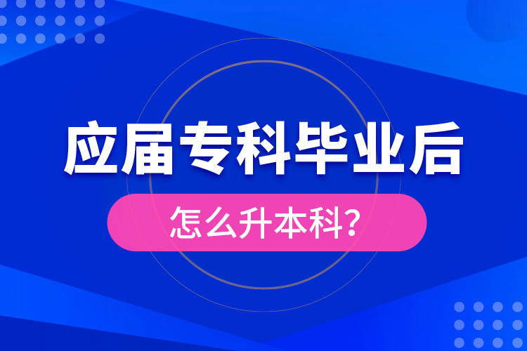 應(yīng)屆?？飘厴I(yè)后怎么升本科？