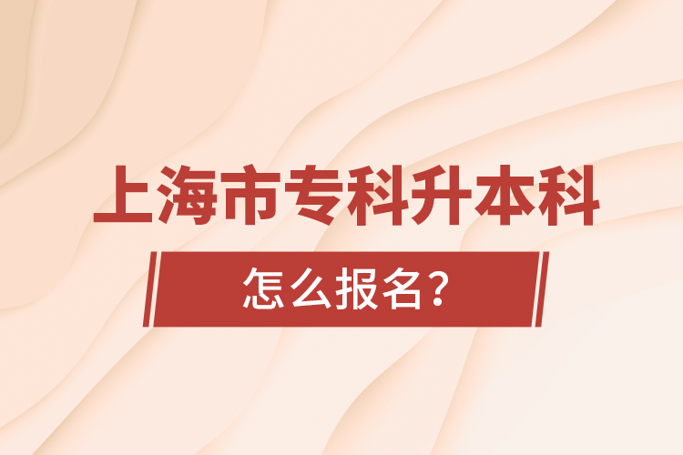 上海市?？粕究圃趺磮竺? /></p></div>
                    <div   id=