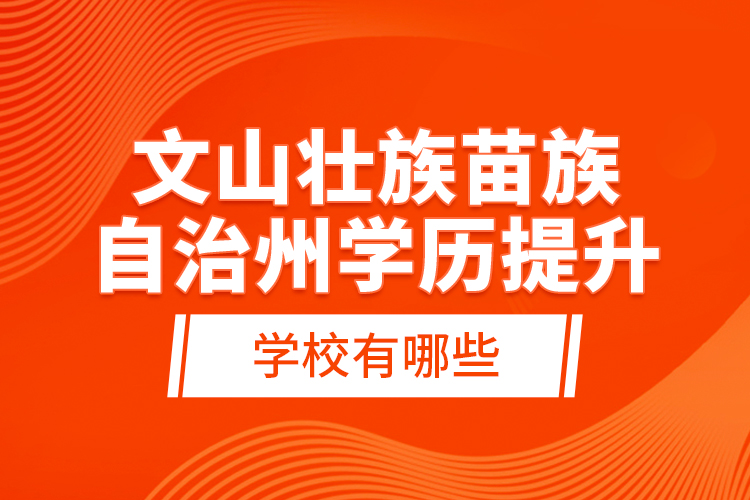 文山壯族苗族自治州學(xué)歷提升學(xué)校有哪些？