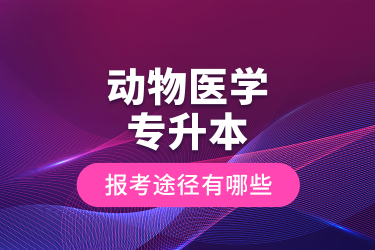 動物醫(yī)學(xué)專升本的報考途徑有哪些？