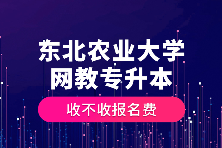 東北農(nóng)業(yè)大學(xué)網(wǎng)教專升本收不收報(bào)名費(fèi)？
