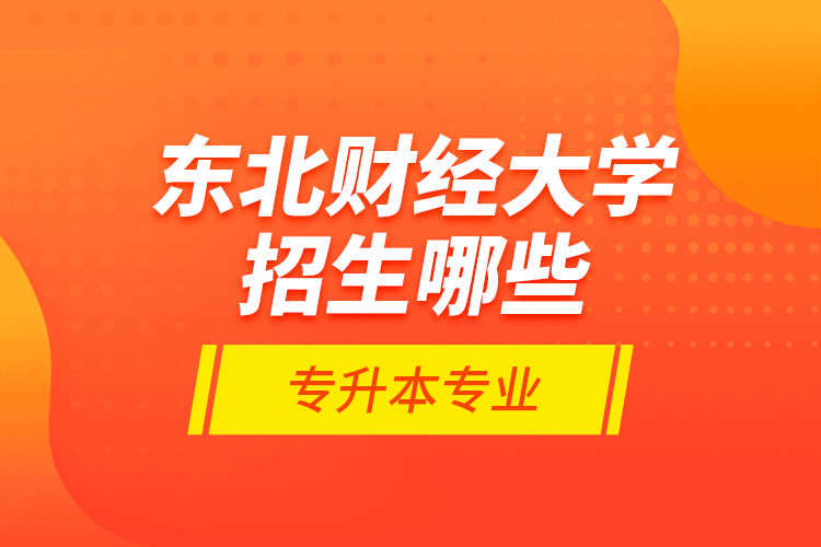 東北財經(jīng)大學招生哪些專升本專業(yè)？