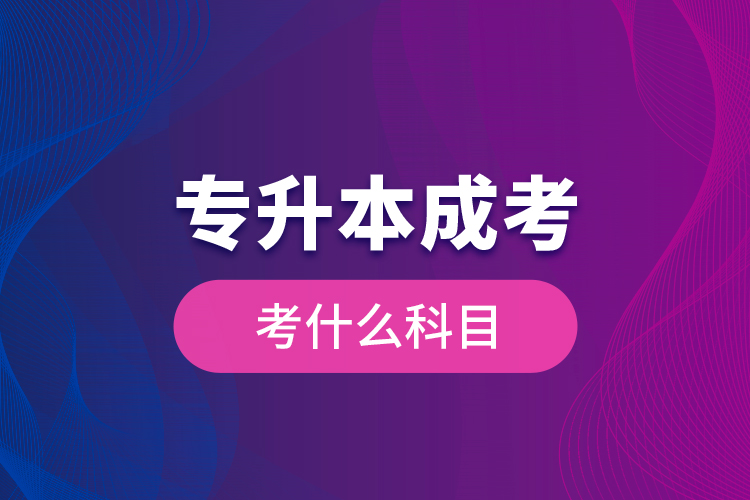 專升本成考考什么科目？