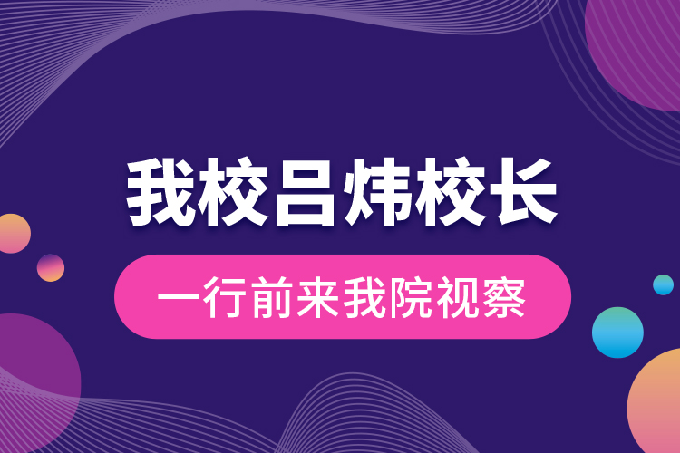 我校呂煒校長(zhǎng)一行前來我院視察